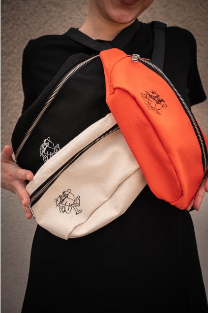 Ledvinka A2 (motiv čtenář)