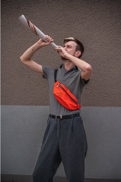 Ledvinka A2 (motiv domeček)